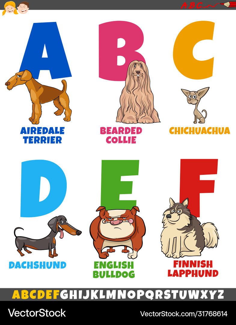 Cartoon alphabet collection with dog breeds Cartoon alphabet collection with dog breeds vector image