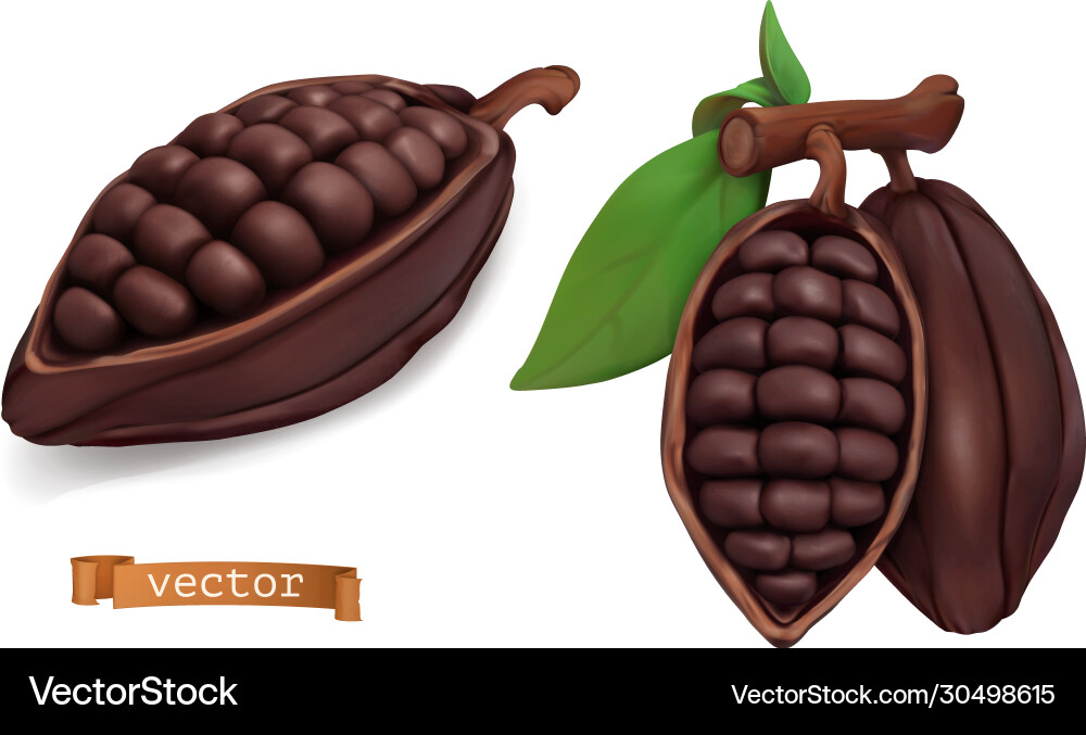 Cacao fruits cocoa pods 3d realistic objects Cacao fruits cocoa pods 3d realistic objects vector image
