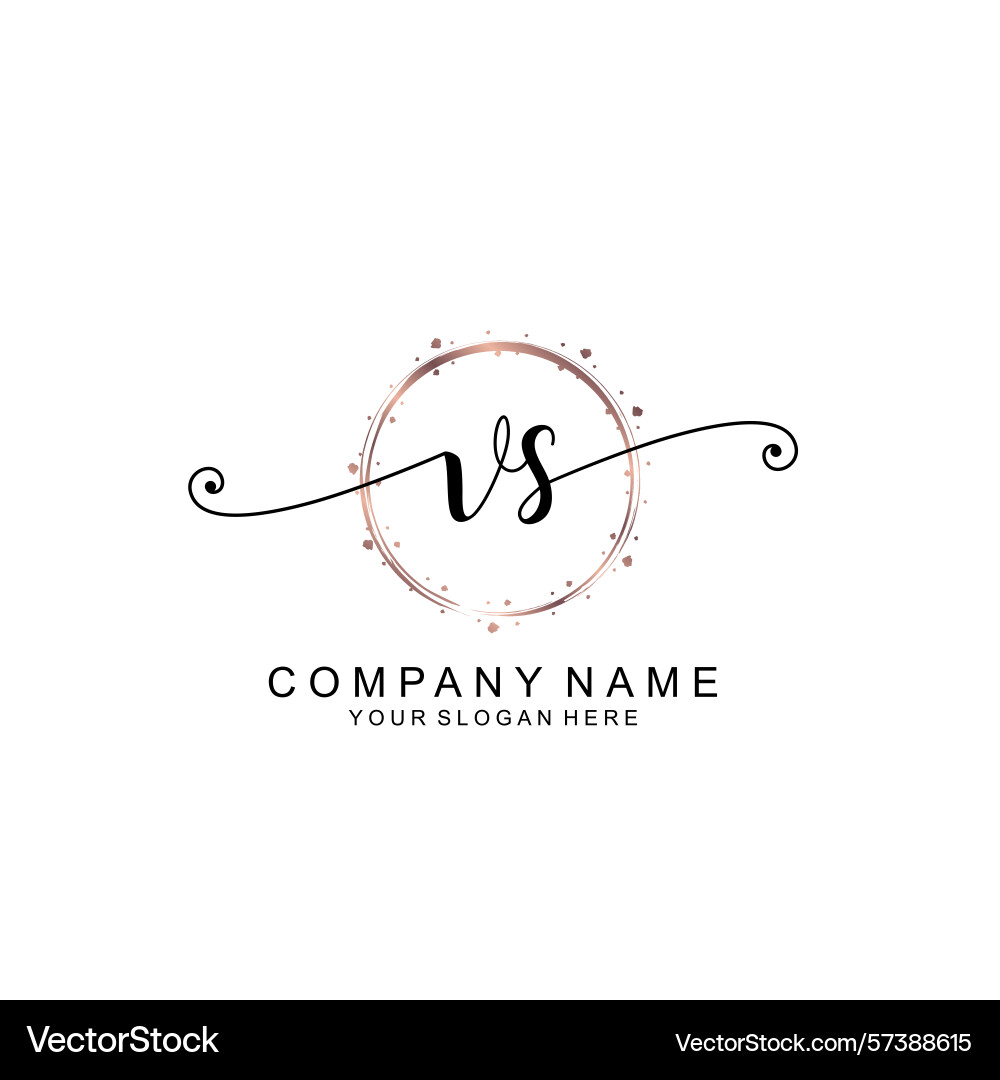 Elegant vs initial logo collection with modern Vector Image
