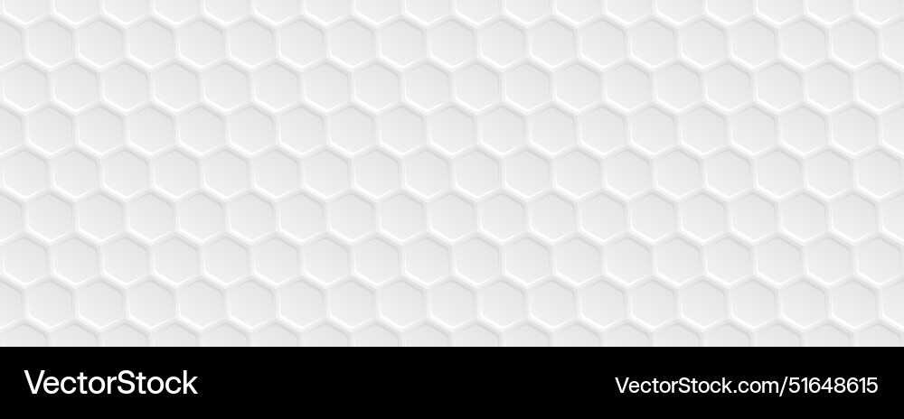 White Hexagon Pattern vector image