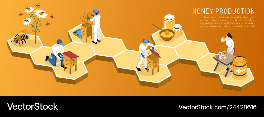 Honey Production Isometric Vector Image