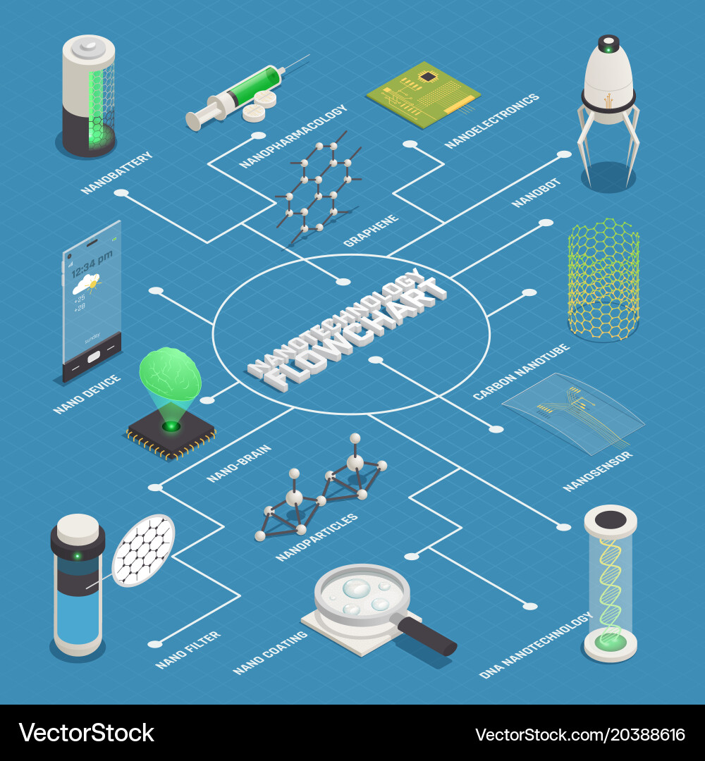 Nanotechnology Applications Flowchart vector image