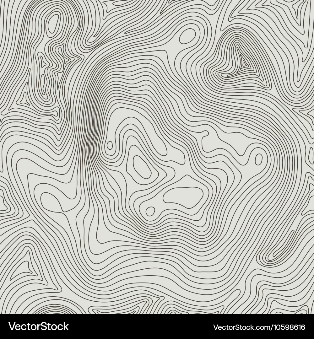 Topographic map background concept with space vector image
