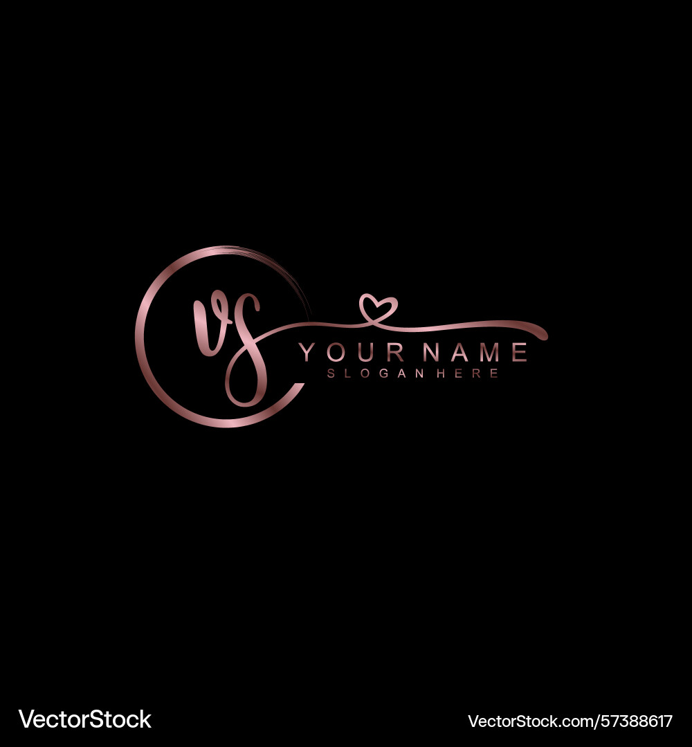 Elegant vs initial handwriting logo collection Elegant vs initial handwriting logo collection vector image