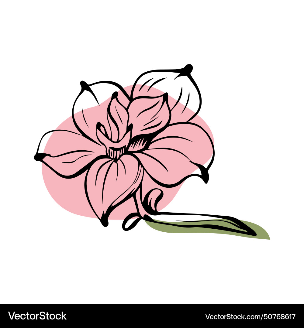 Magnolia in sketch style with abstract color Magnolia in sketch style with abstract color Vector Image
