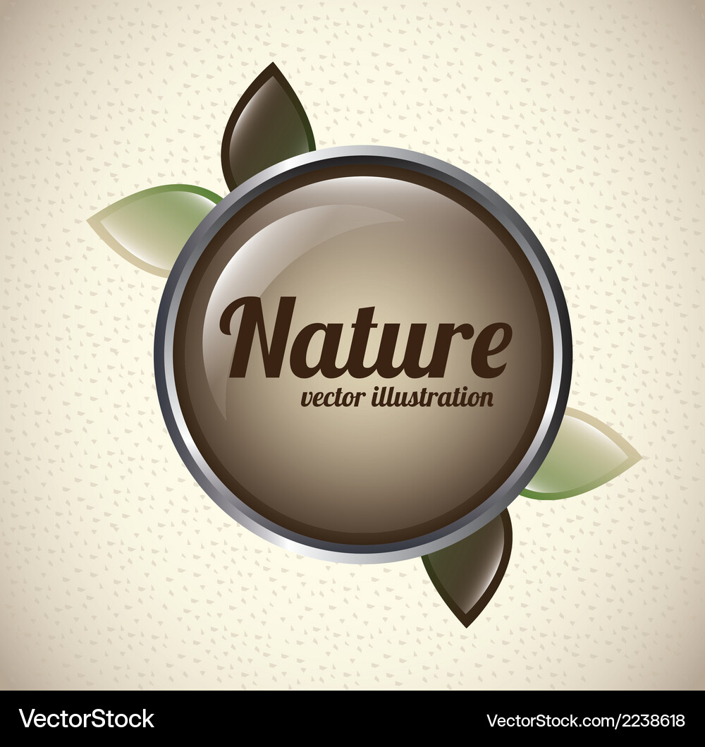 Nature design over pattern background Vector Image