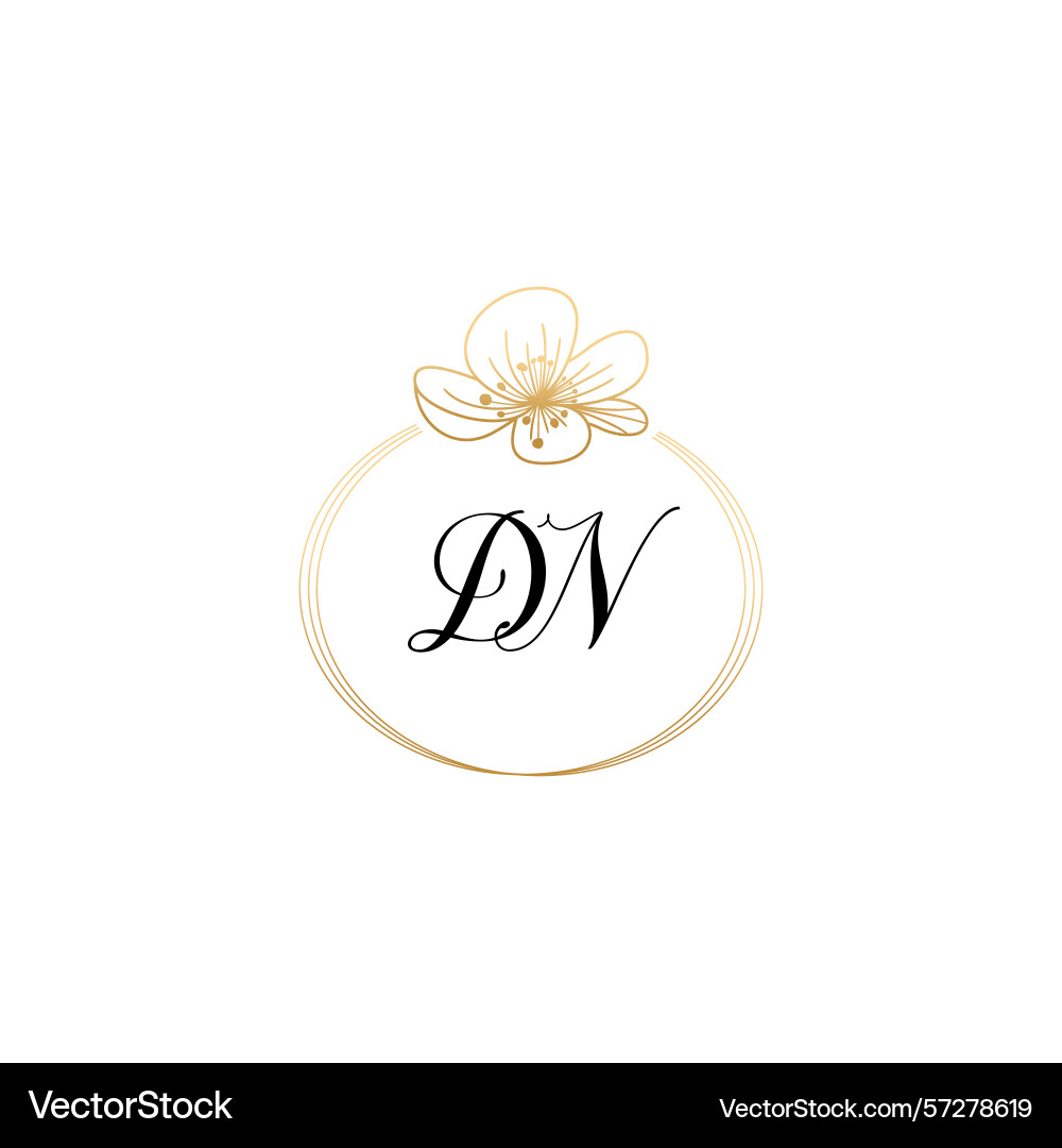 Botanical monogram logos with initial dn Botanical monogram logos with initial dn vector image