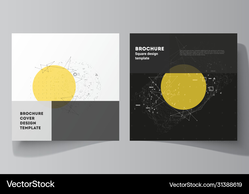 Layout two square format Layout two square format vector image