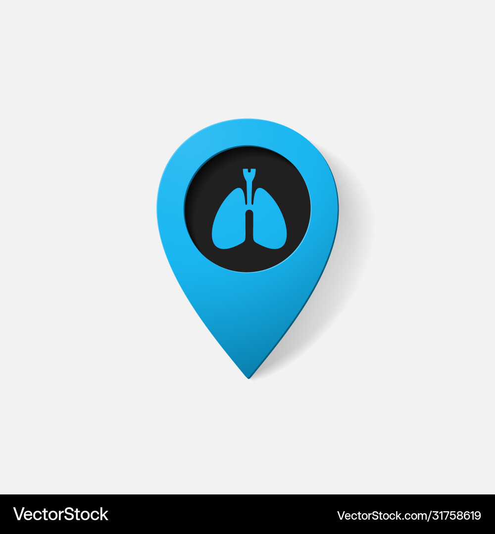 Realistic color pointer lungs Vector Image
