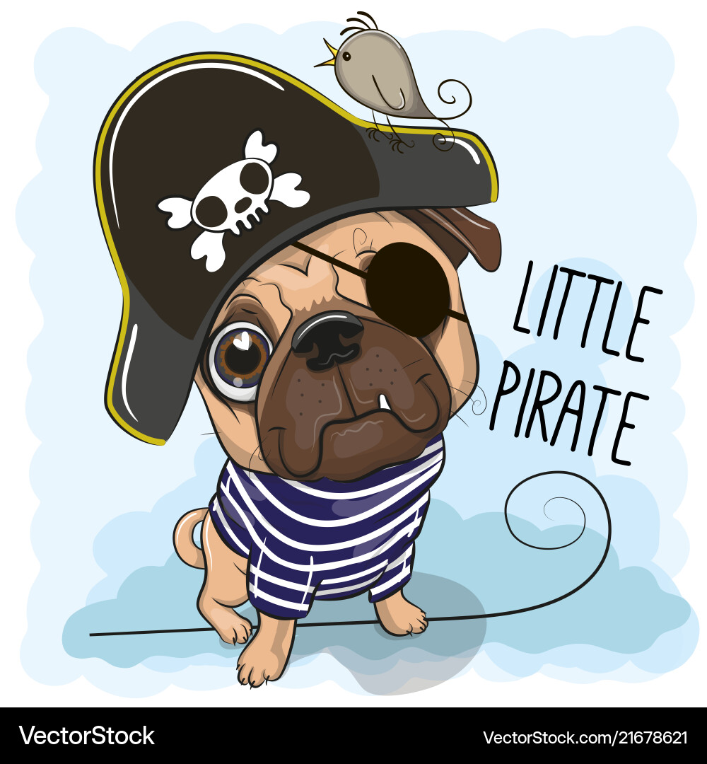Cute pug dog in a pirate hat Cute pug dog in a pirate hat vector image