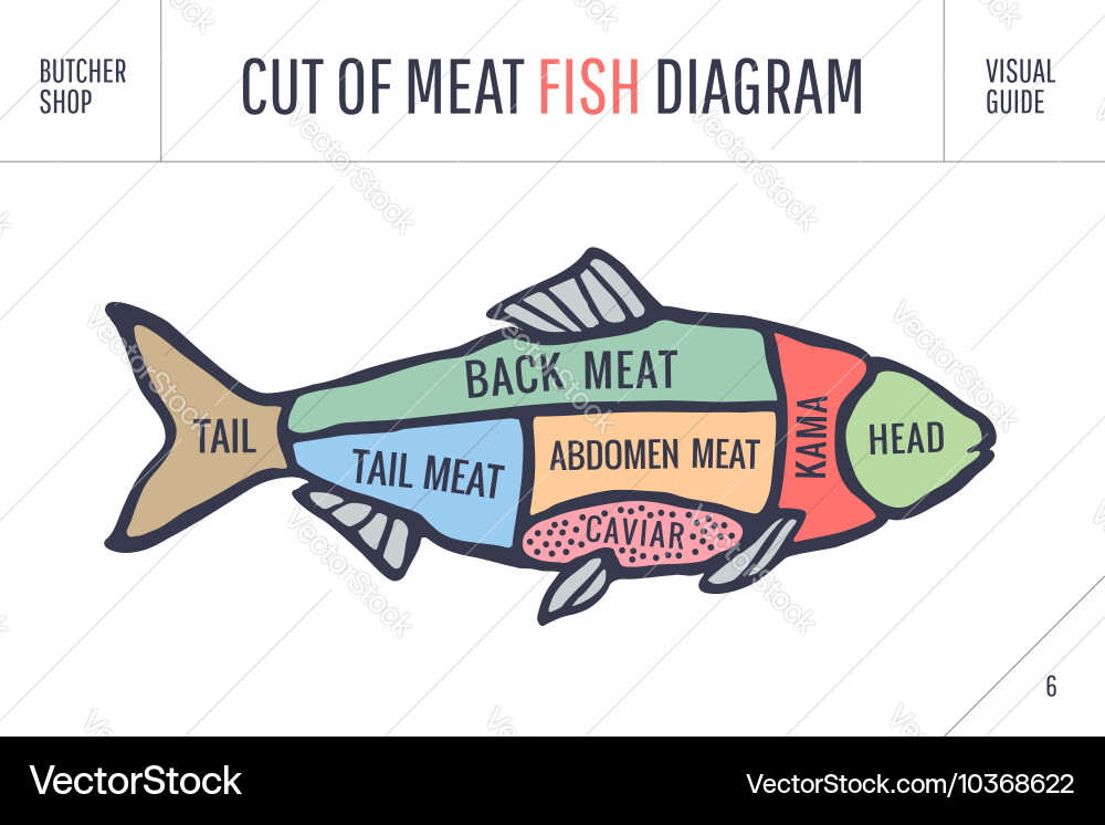 Cut of meat set poster butcher diagram and scheme Vector Image