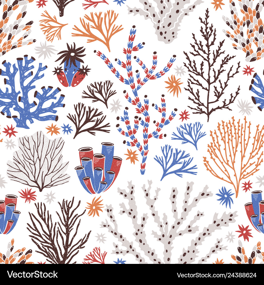 Coral Reef Pattern - Underwater Life Vector Image