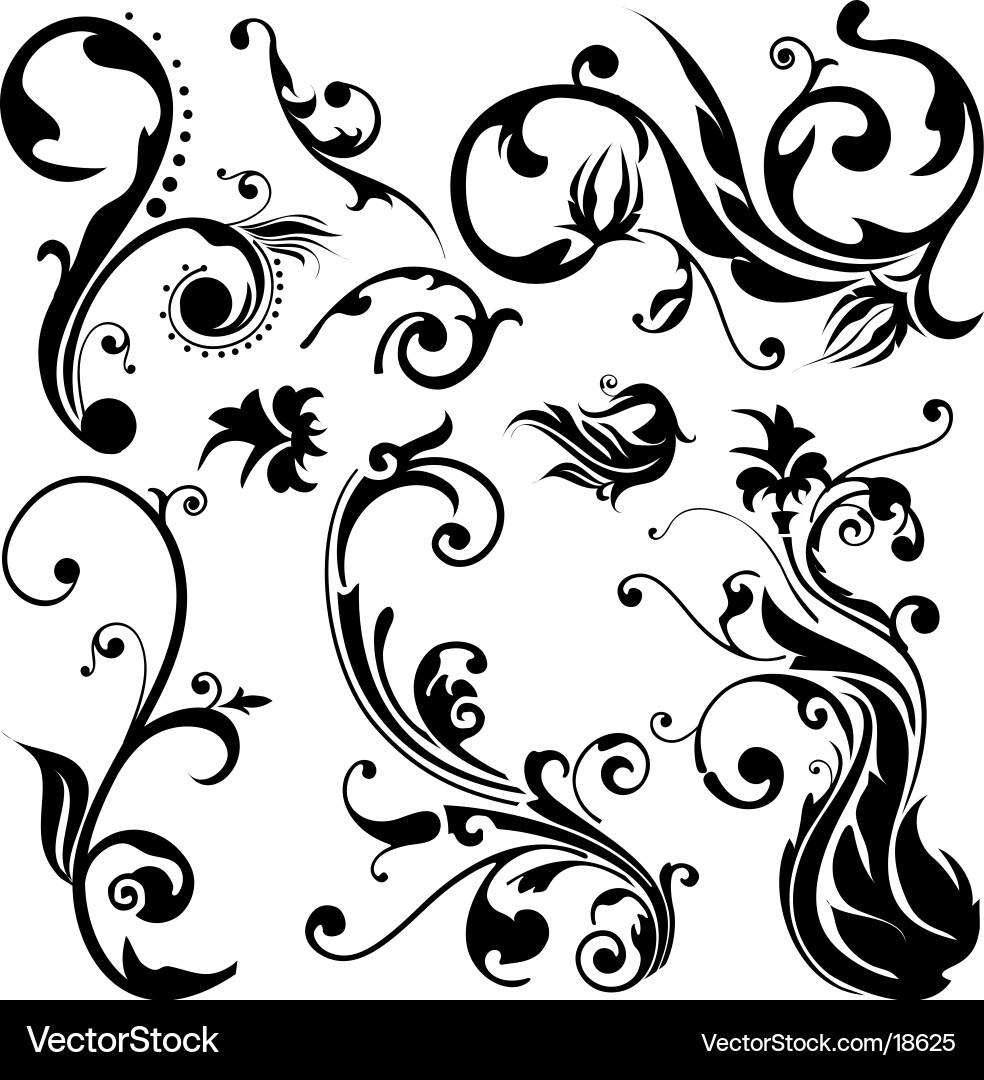 Floral design elements Royalty Free Vector Image
