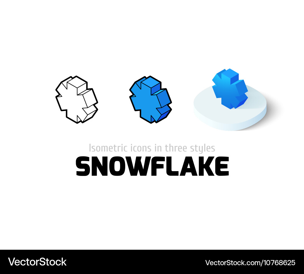 Snowflake icon in different style vector image