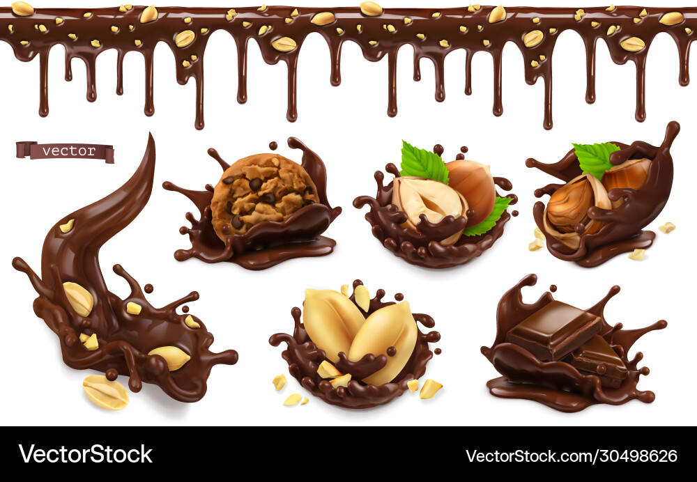 Chocolate Splashes with Nuts Vector Image
