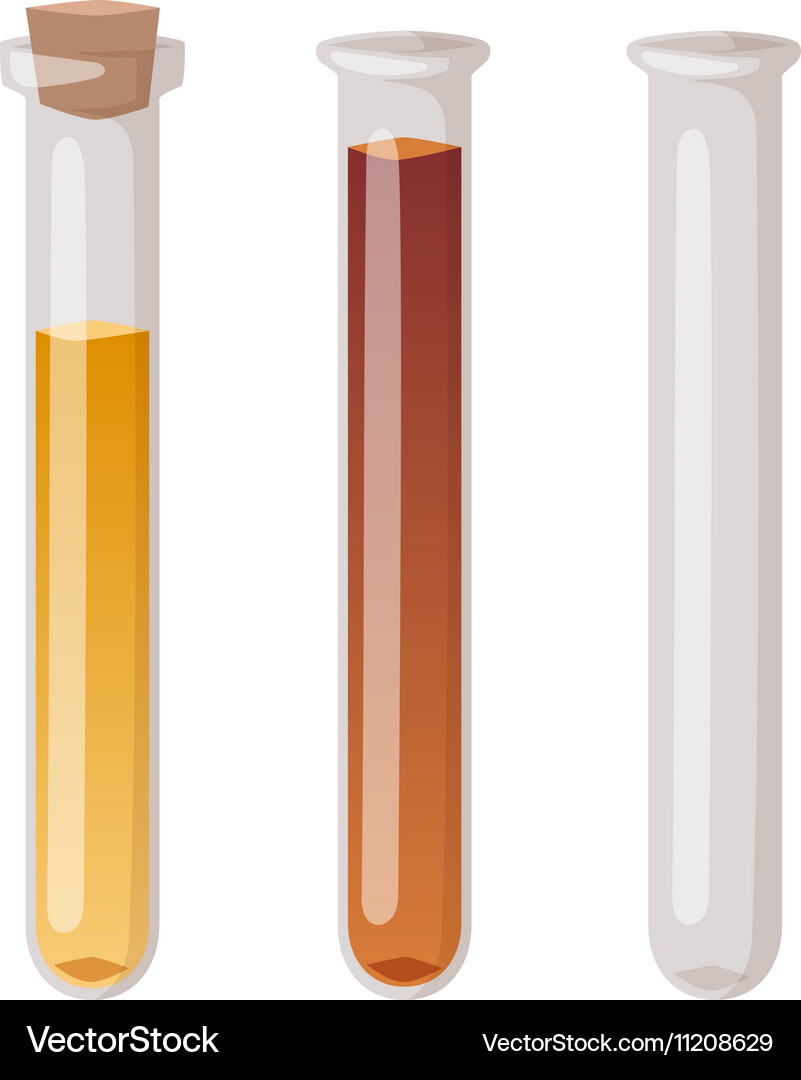 Lab flask isolated Vector Image