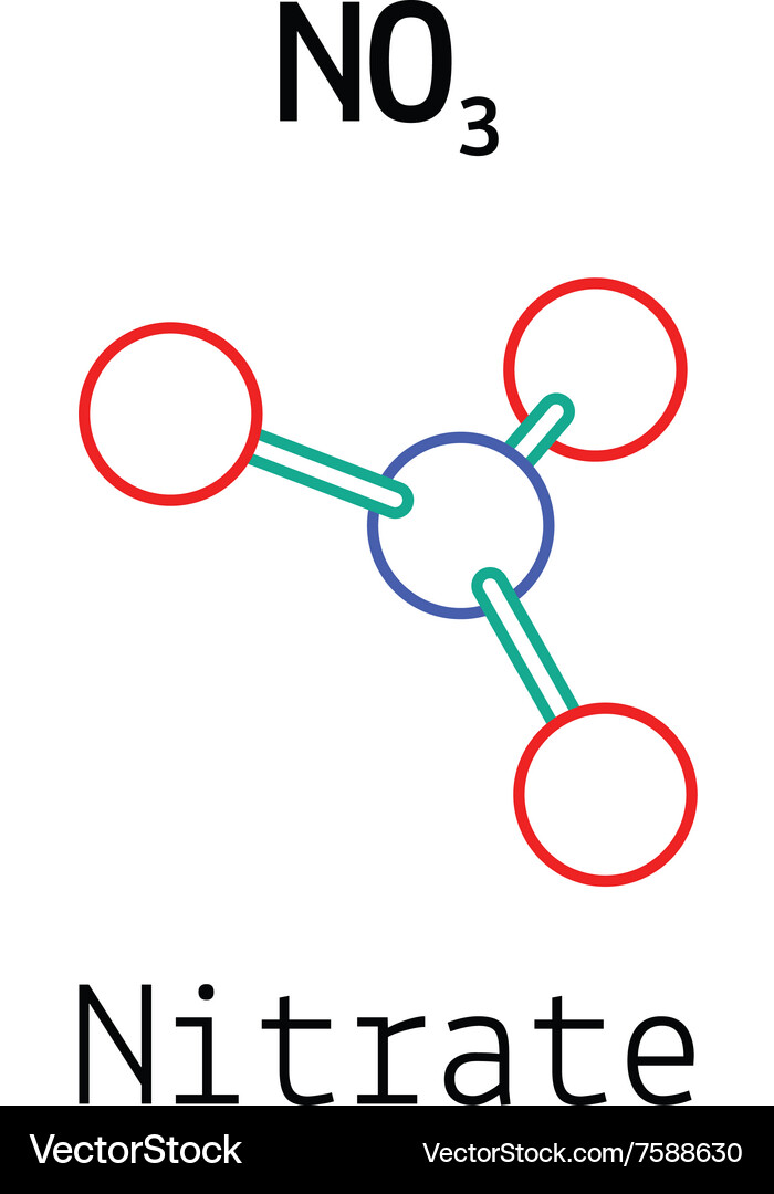 No3 nitrate molecule Vector Image