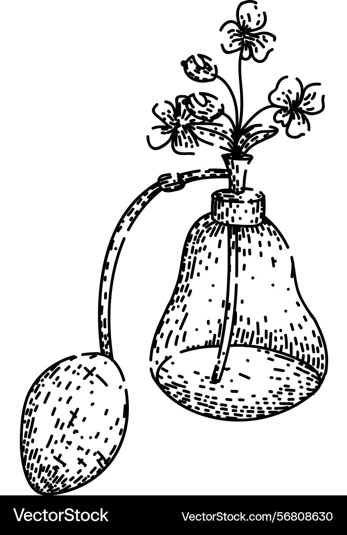 Refillable perfume automizer sketch hand drawn Vector Image