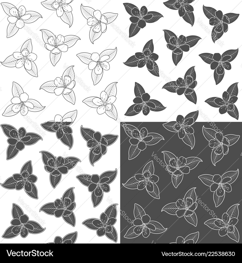 Set of seamless pattern with spring flowers Set of seamless pattern with spring flowers vector image