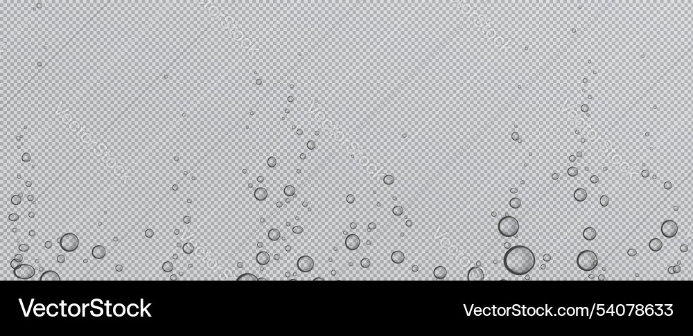 Fizzy water bubble float on transparent background Fizzy water bubble float on transparent background vector image