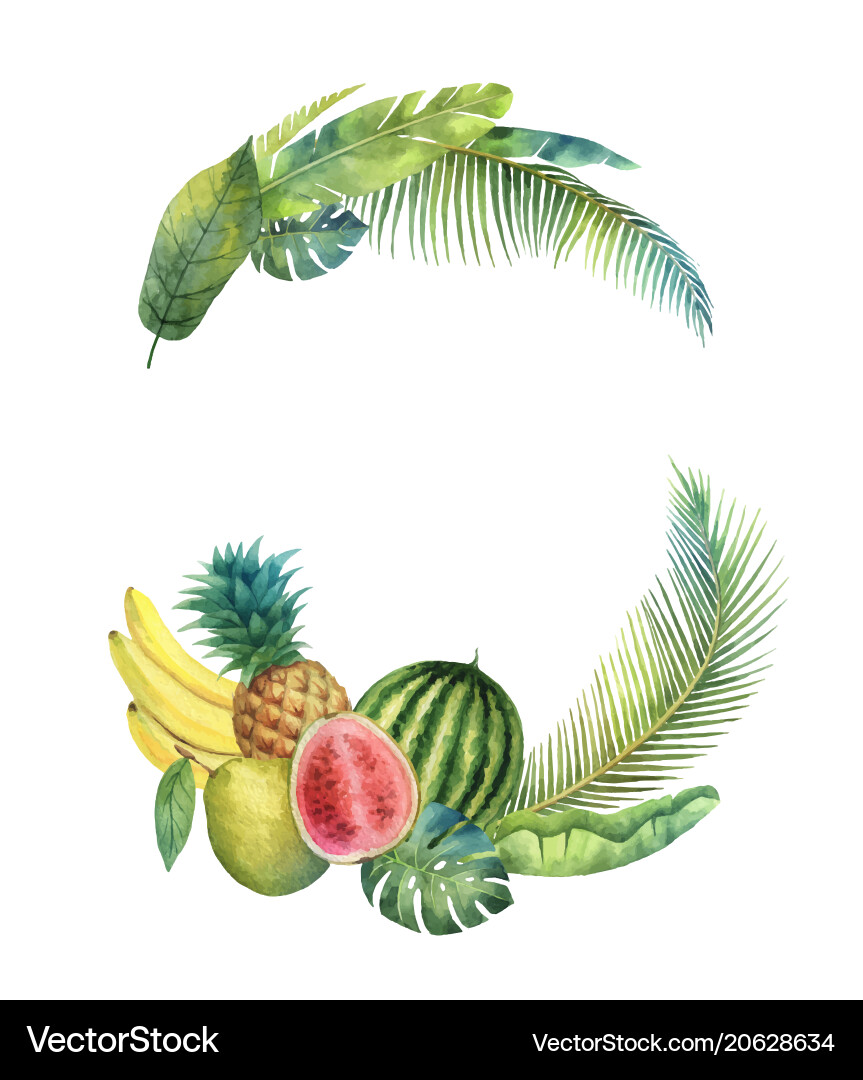 Tropical Watercolor Wreath Vector Image