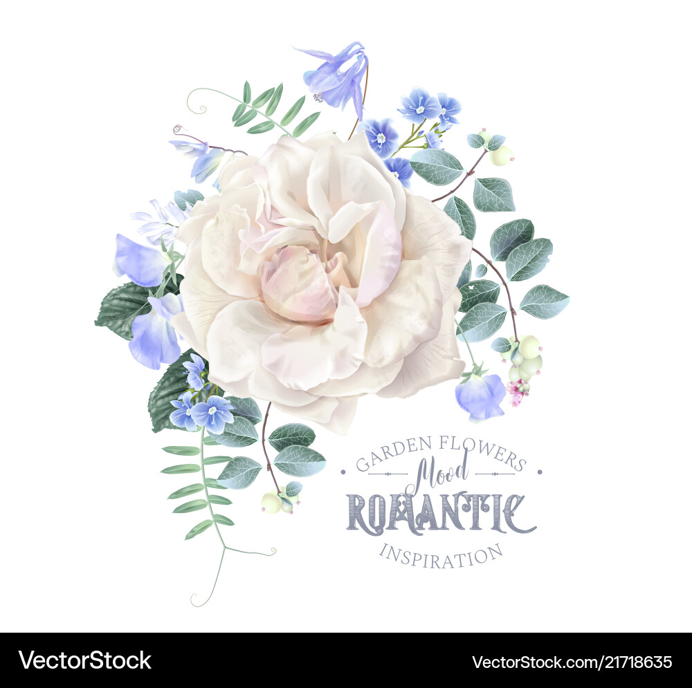 Card with white rose and blue flowers Card with white rose and blue flowers vector image