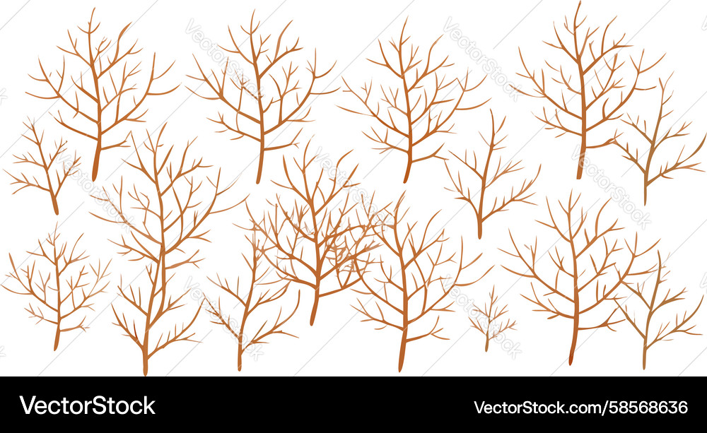 Bare Tree Branches Pattern Vector Image