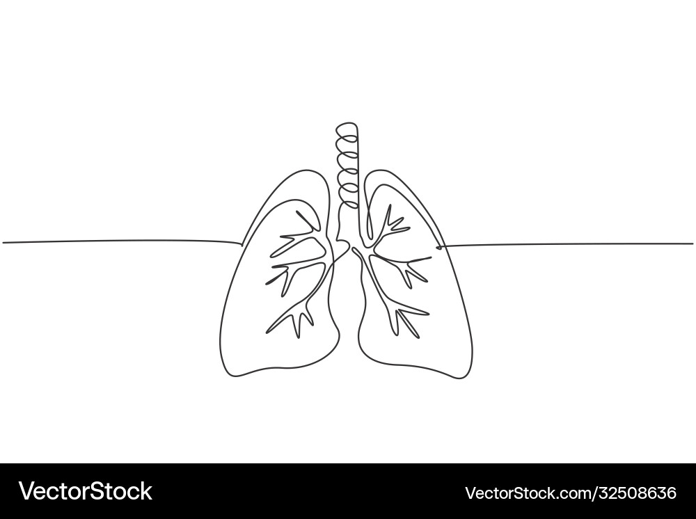Eine durchgehende Linie die anatomische menschliche Eine durchgehende Linie die anatomische menschliche vektorbild