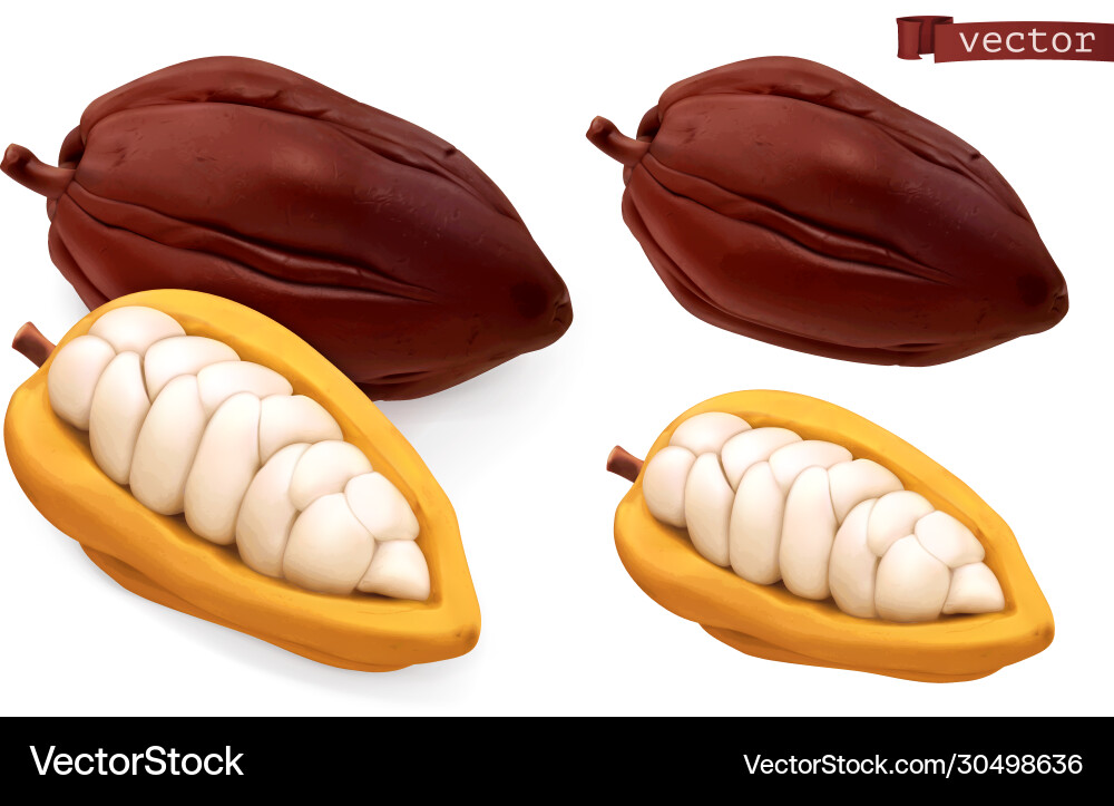 Realistic 3D Cocoa Pods Vector Image