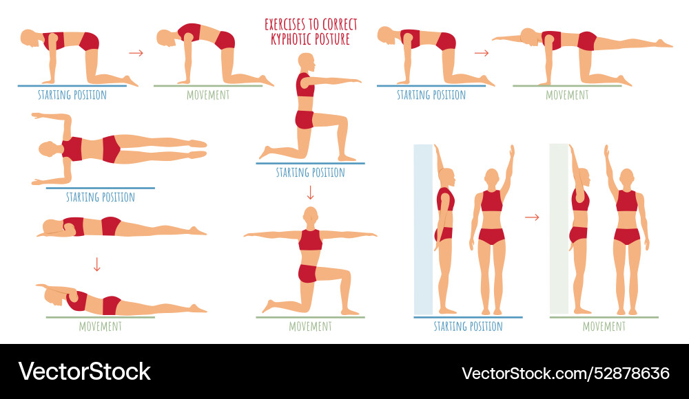 Set of exercises for a round kyphotic back Vector Image