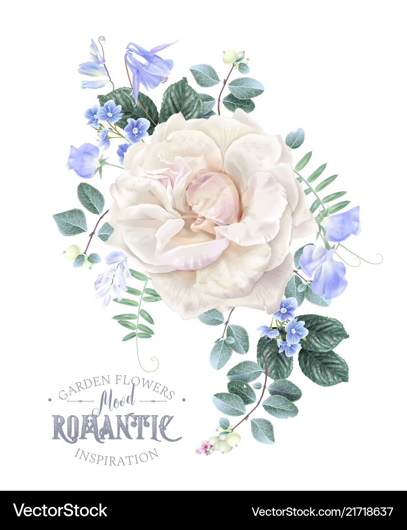 White Rose & Blue Floral Card Vector Image