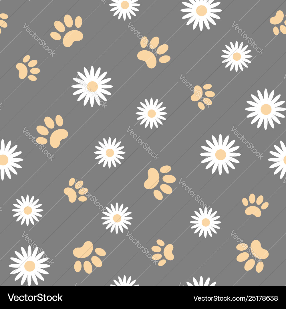 Daisies and Animal Paw Pattern Vector Image