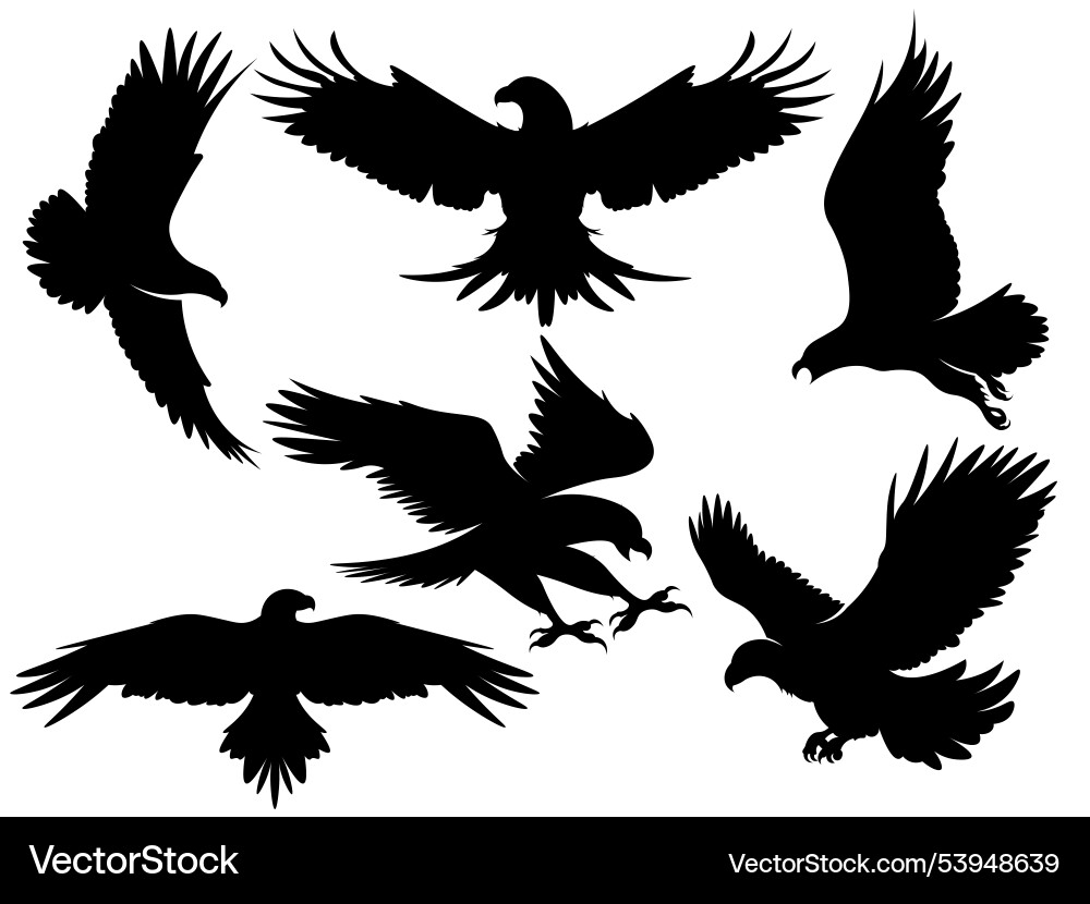 Black Eagle Silhouette Flying Vector Image