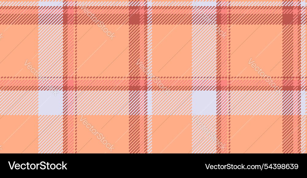 Tidy tartan pattern texture scotland check vector image