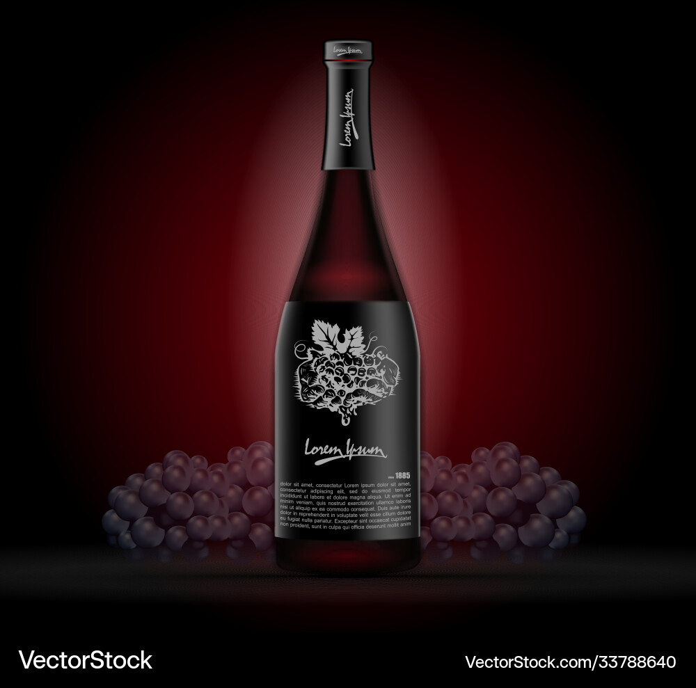 Mock-up bottles wine on a dark background Mock-up bottles wine on a dark background Vector Image