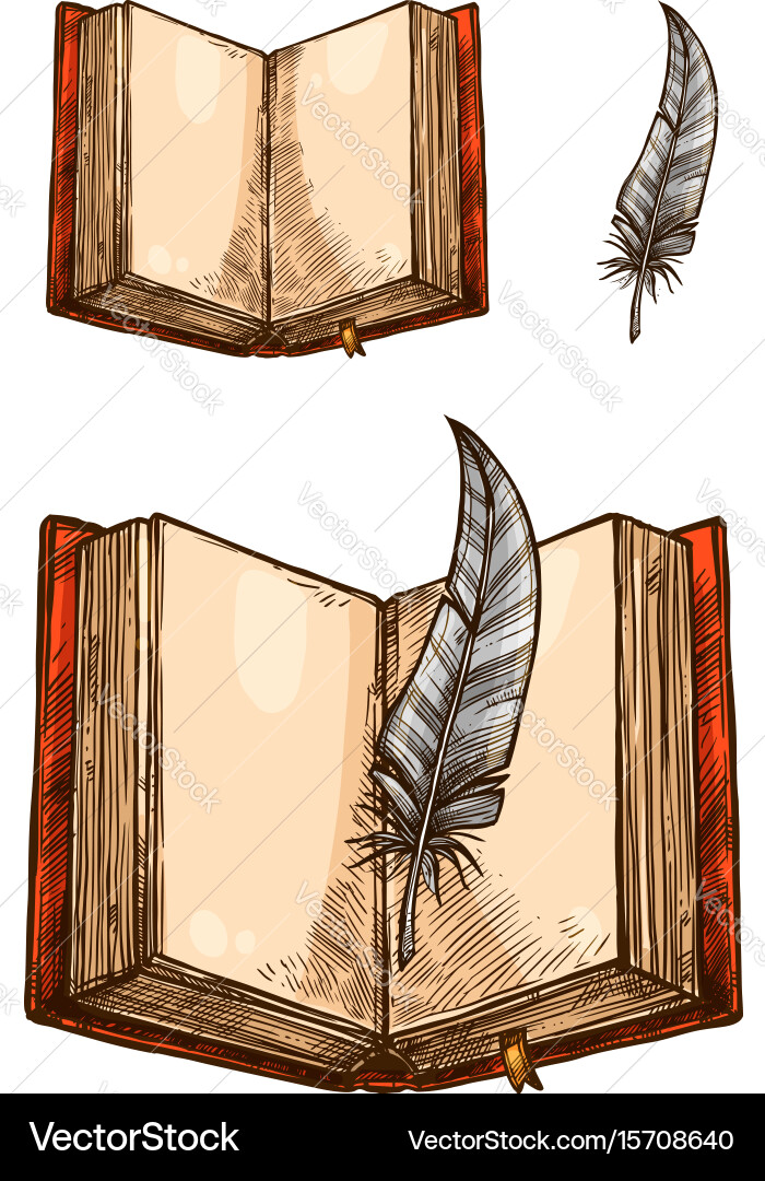 Open book with empty page and feather pen sketch vector image