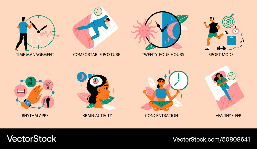 Circadian rhythm set Royalty Free Vector Image