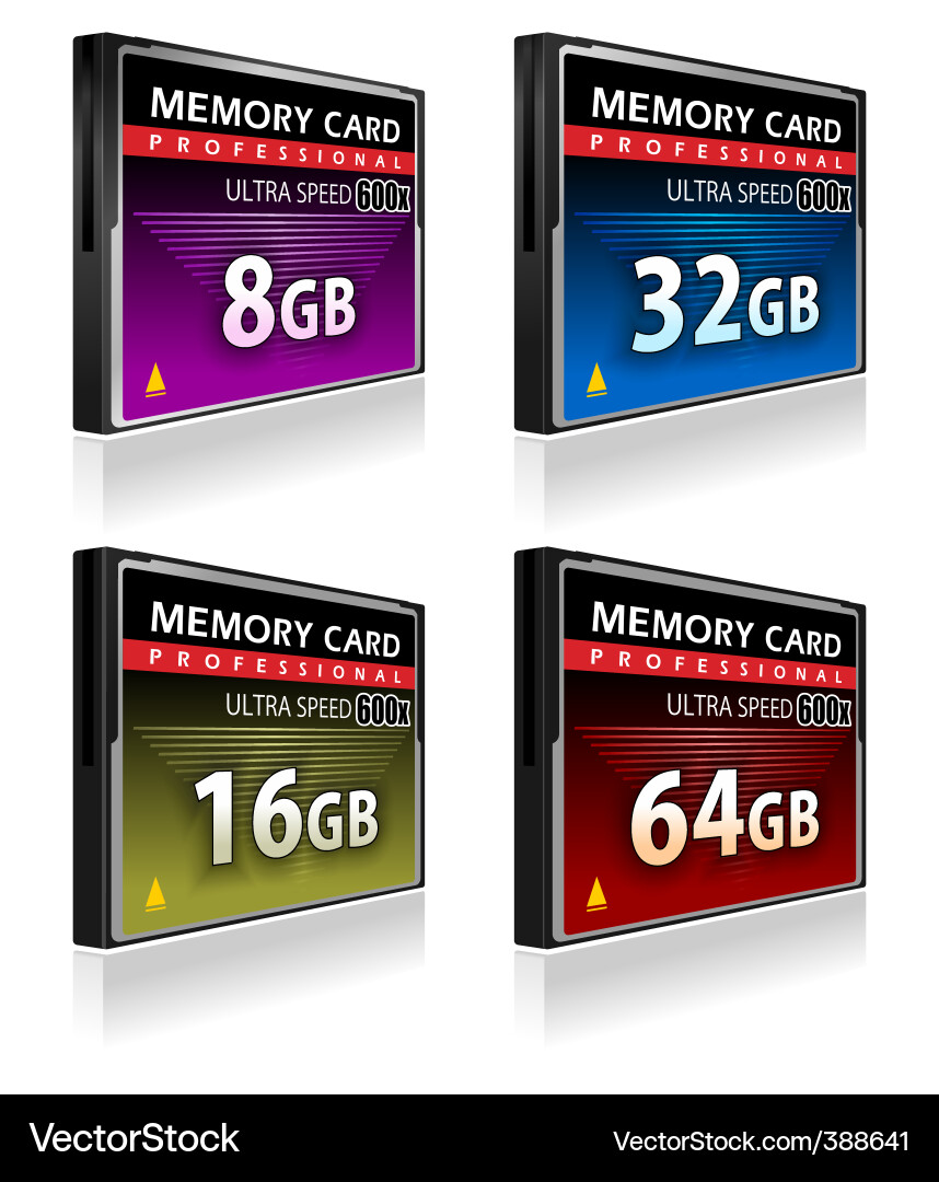 Compact Flash Memory Cards Vector Image