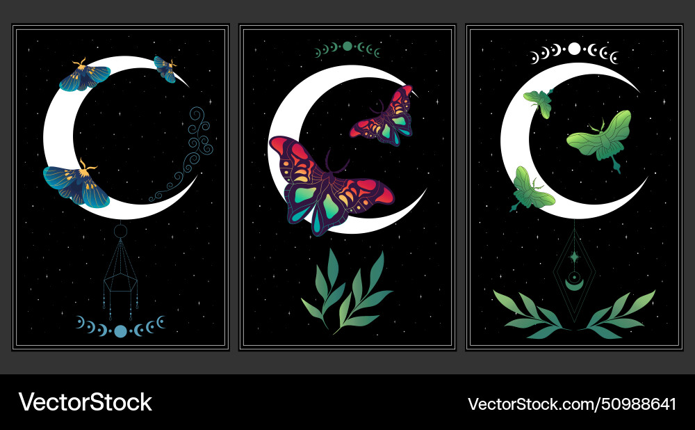 Set of celestial background with butterflies Set of celestial background with butterflies Vector Image