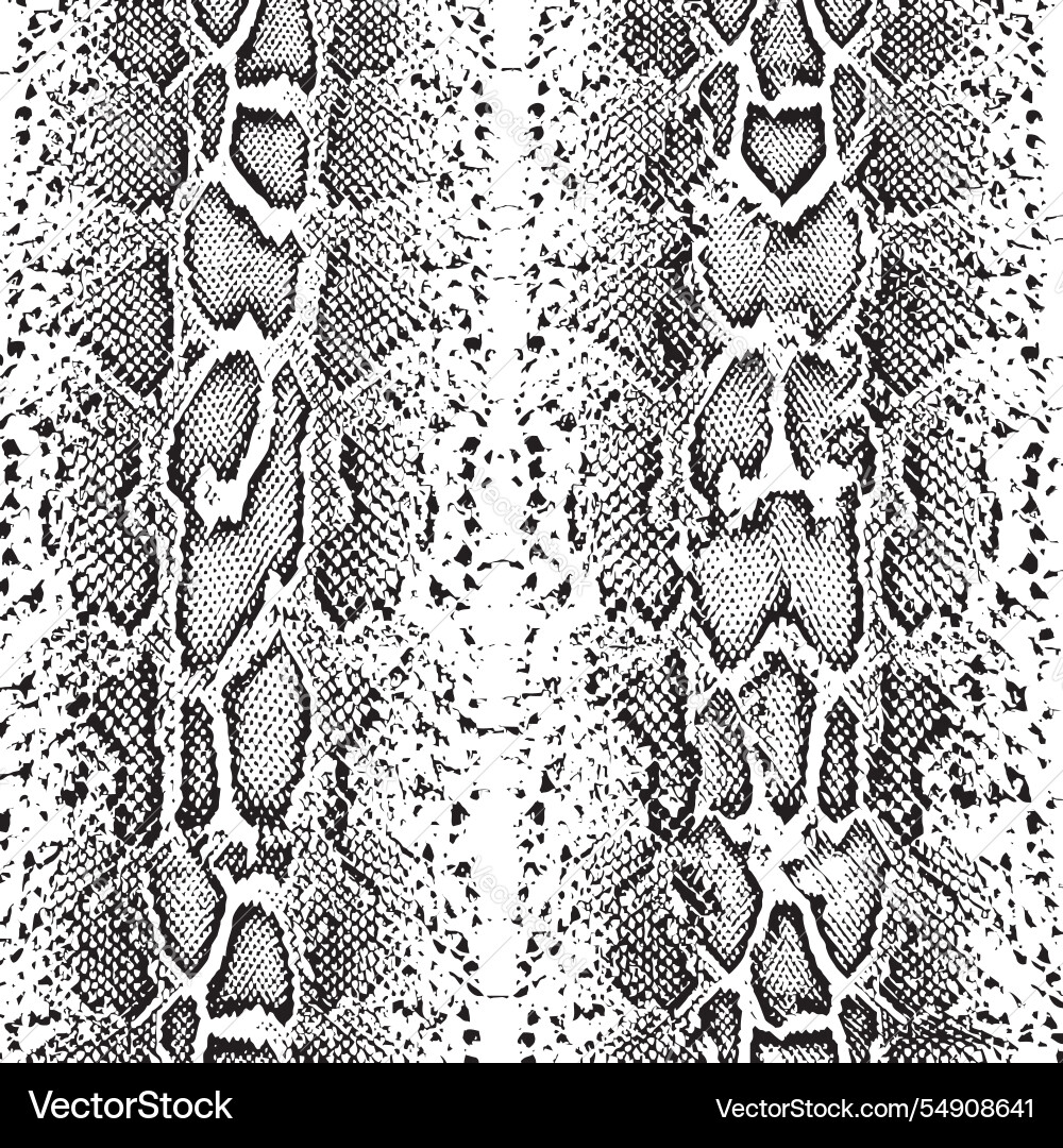 Snake skin texture black and white python pattern Vector Image