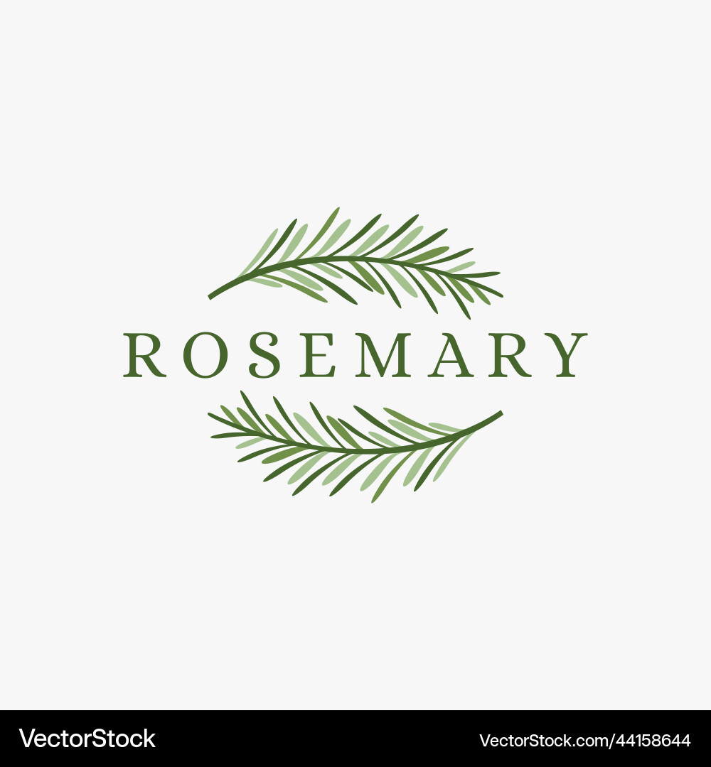 Fresh green rosemary logo icon on white background vector image