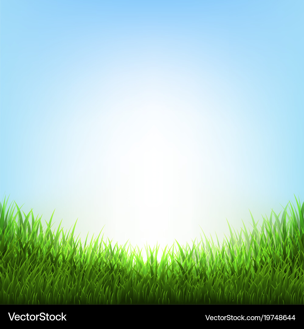 Nature background with grass Royalty Free Vector Image