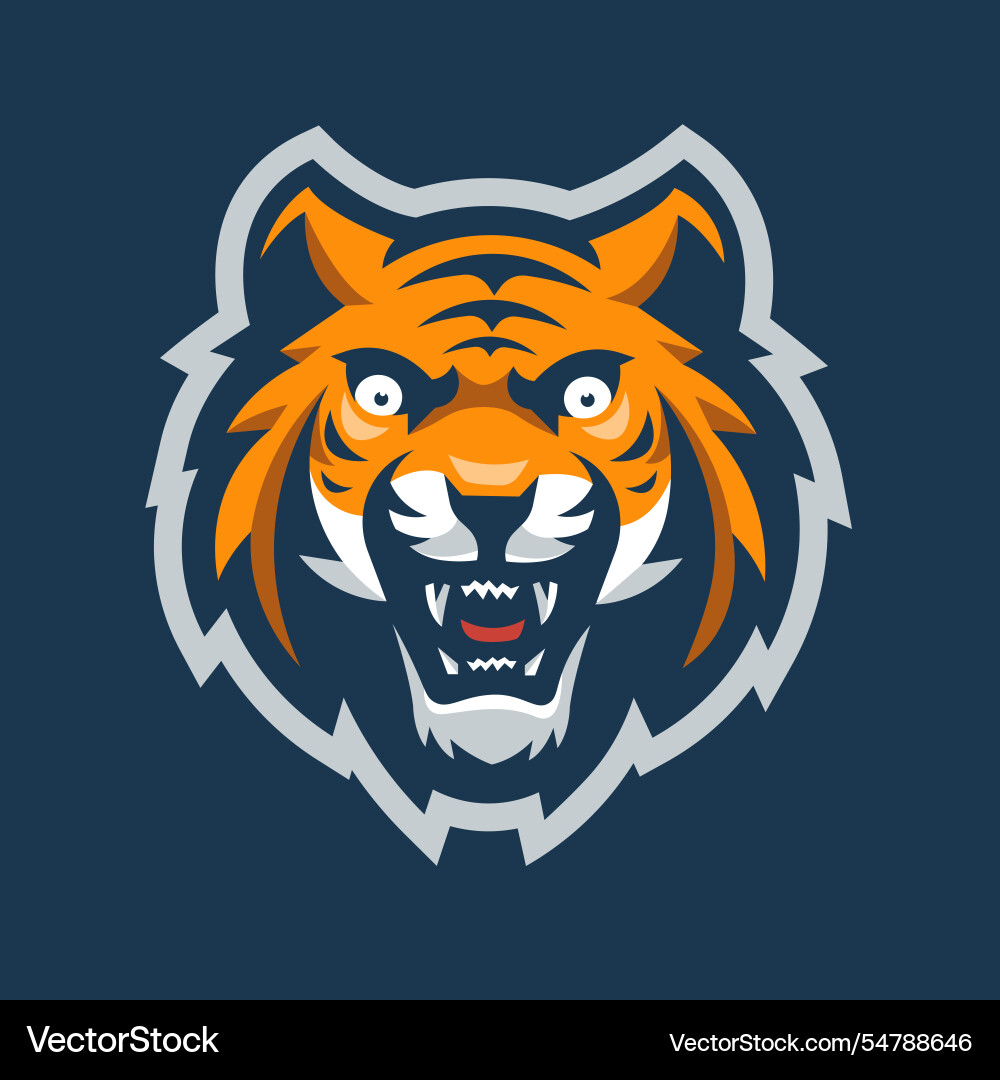 Tiger sports logo Tiger sports logo Vector Image