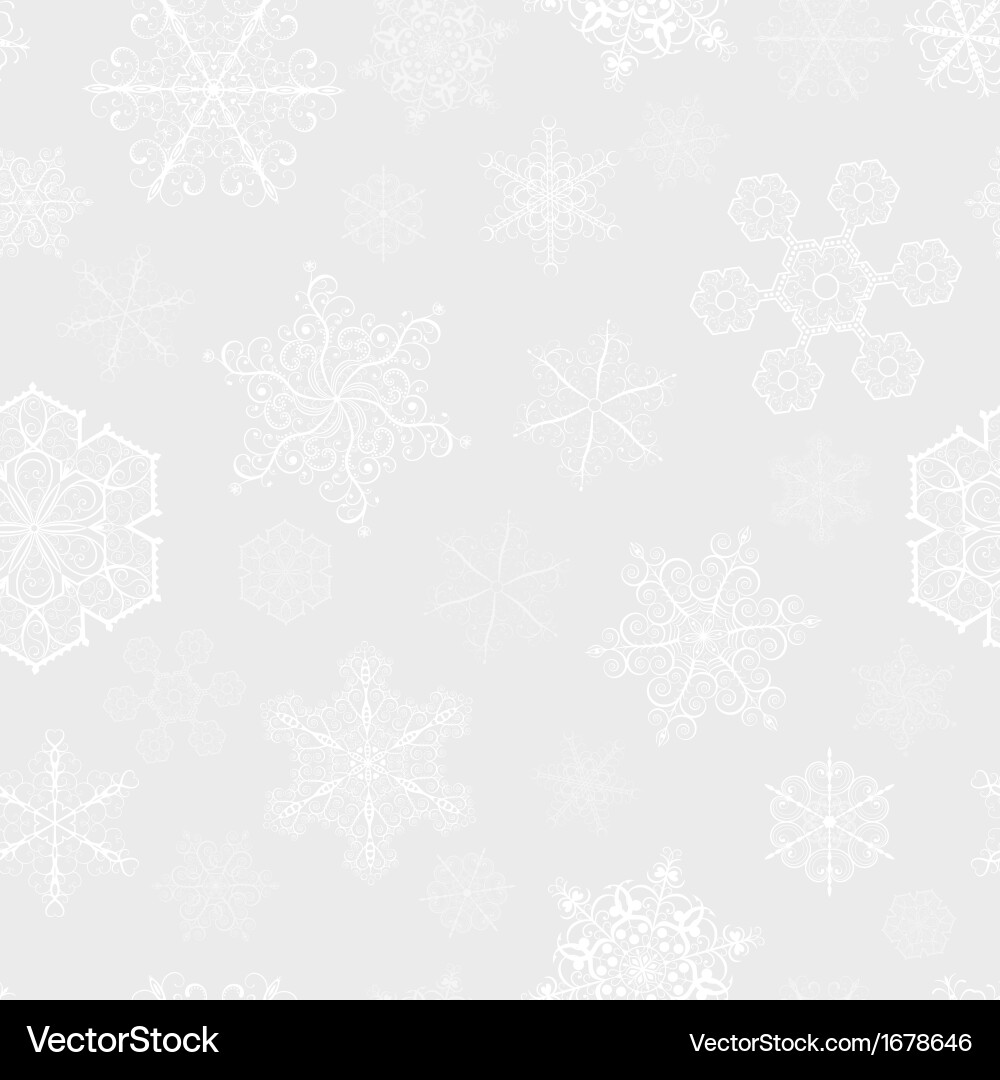 Winter Snowflake Pattern vector image