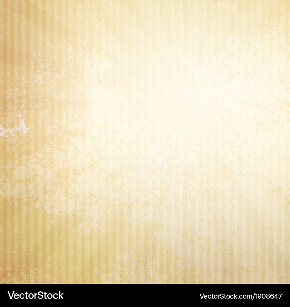 Grunge Paper Texture Background vector image