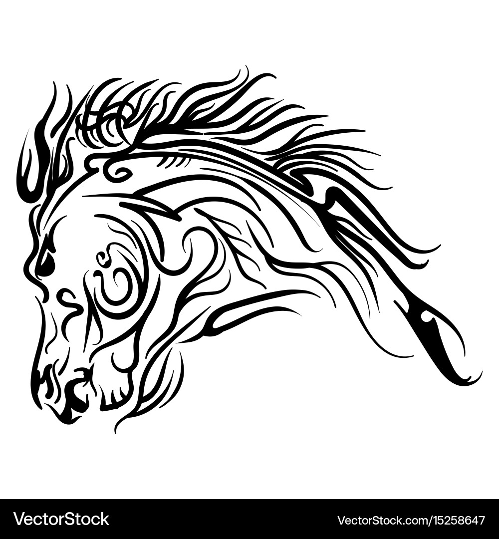 Horse Head Line Art Sketch Vector Image