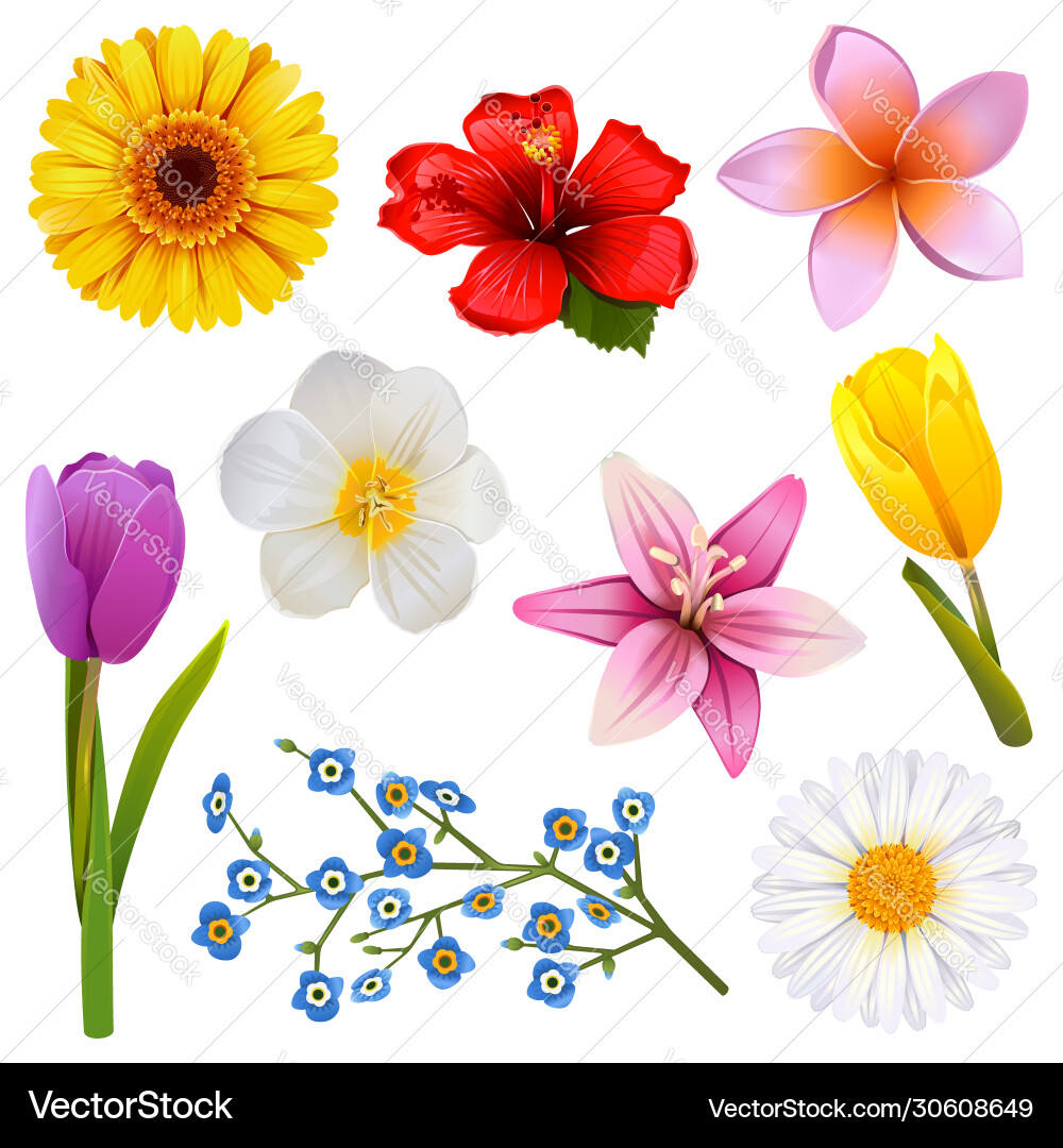 Flower icons set 3 Flower icons set 3 vector image