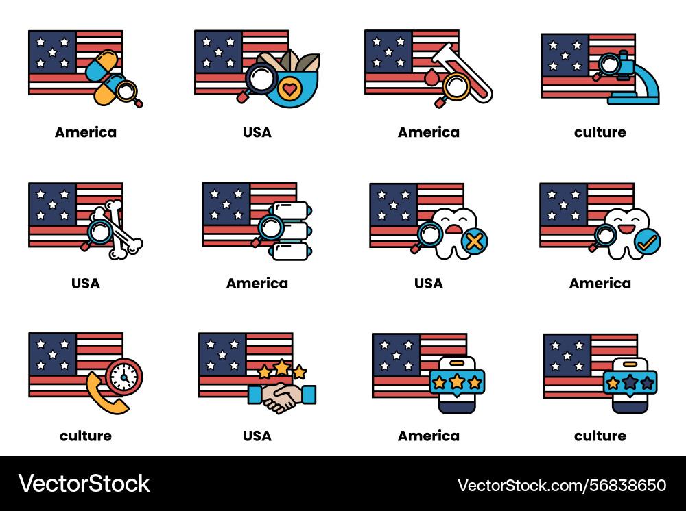 Image is a set of twelve different american flags Image is a set of twelve different american flags Vector Image