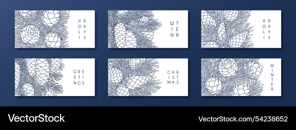 Set of compositions with coniferous branches vector image