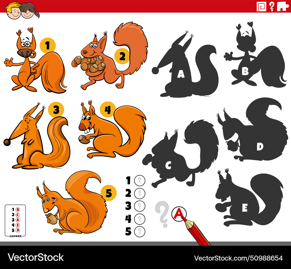 Finding shadows game with cartoon squirrels Finding shadows game with cartoon squirrels vector image